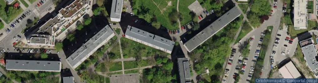 Zdjęcie satelitarne MS-Project
