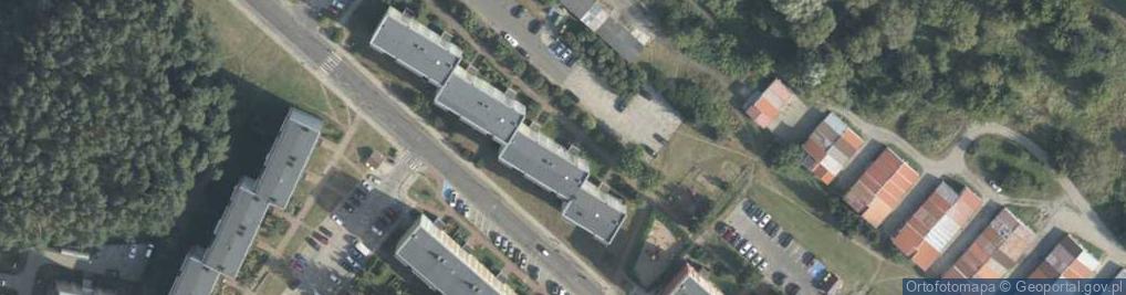 Zdjęcie satelitarne Mushroom 3 Treutz Krzysztof