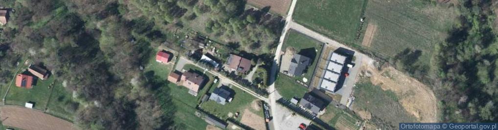 Zdjęcie satelitarne Natalia Kontewicz