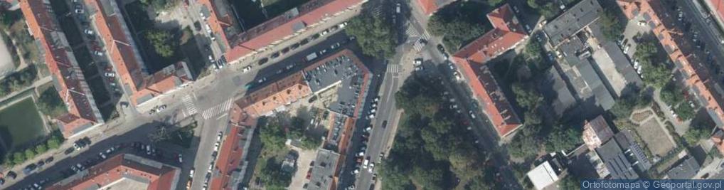 Zdjęcie satelitarne Natalia Opolska- Noelle