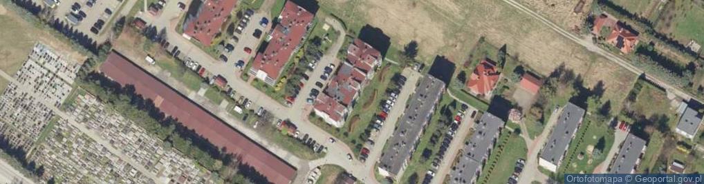 Zdjęcie satelitarne Natural Monika Maziarz Dominik Maziarz