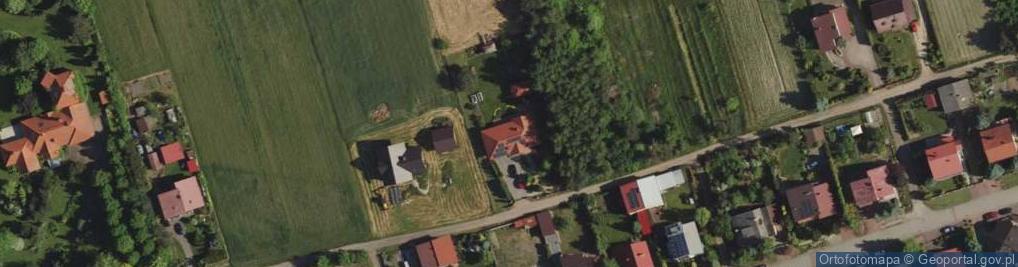 Zdjęcie satelitarne Natura