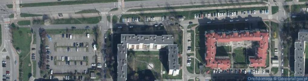 Zdjęcie satelitarne Nautilis