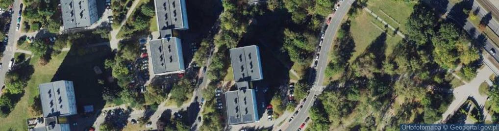 Zdjęcie satelitarne Nemo Roman Palacz
