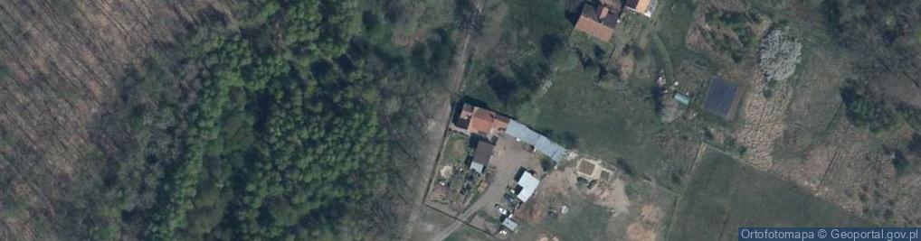 Zdjęcie satelitarne Nesa Dariusz Gagatek Katarzyna Zadzimska