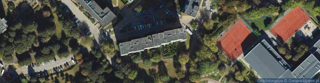 Zdjęcie satelitarne Netwave Artur Kuta Michał Twaróg