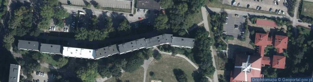 Zdjęcie satelitarne Network Marketing