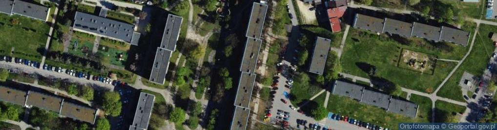 Zdjęcie satelitarne Network Marketing