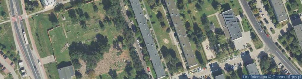 Zdjęcie satelitarne Network Marketing