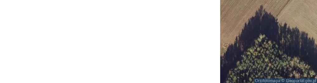 Zdjęcie satelitarne New - Bud - Han Jerzy Kręgowski