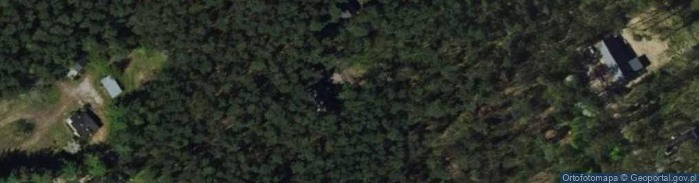 Zdjęcie satelitarne Nexperio