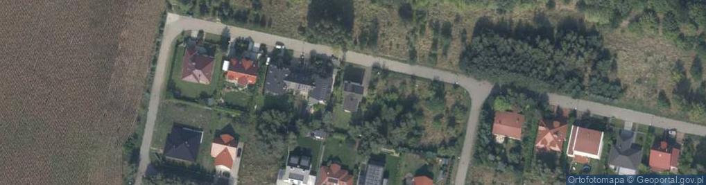 Zdjęcie satelitarne Niedźwiedź Agencja Artystyczna Artur Niedźwiedź