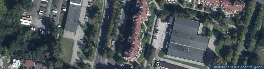 Zdjęcie satelitarne Nina Walenkiewicz