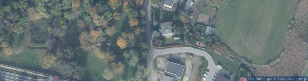 Zdjęcie satelitarne Noclegi