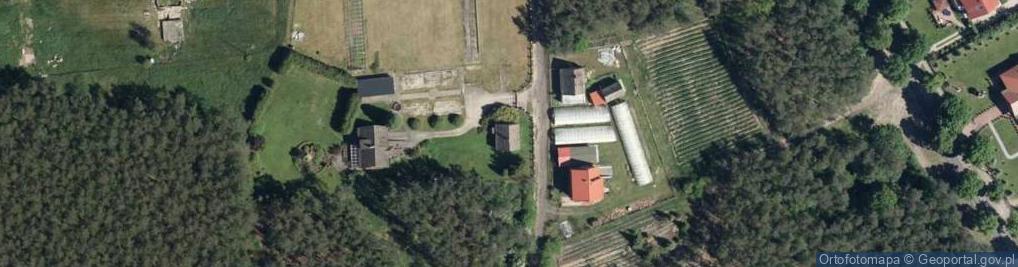 Zdjęcie satelitarne Ogrodnictwo Andruszkiewicz Maria
