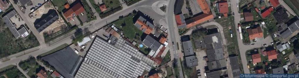 Zdjęcie satelitarne OGRODNICTWO MALINOWSCY-PAŁCZYŃSCY,JAWOR