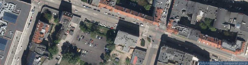 Zdjęcie satelitarne Olga Kogut