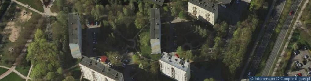 Zdjęcie satelitarne Olsped T Adrjan P Niczyperowicz