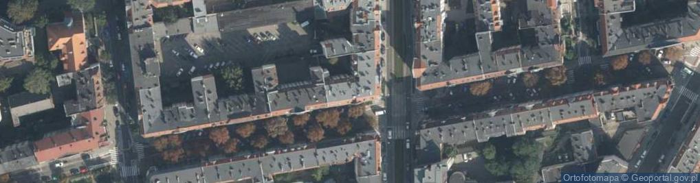 Zdjęcie satelitarne One Hanna Przybylska