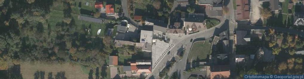 Zdjęcie satelitarne Osmańczyk Elżbieta Agencja Artystyczna Alba