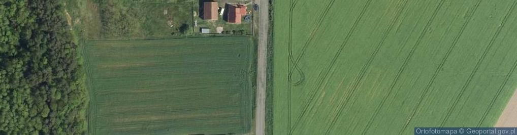 Zdjęcie satelitarne OSP , Dalborowice