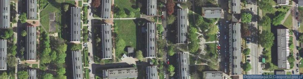 Zdjęcie satelitarne Oświecińska Alicja Handel Okrężny