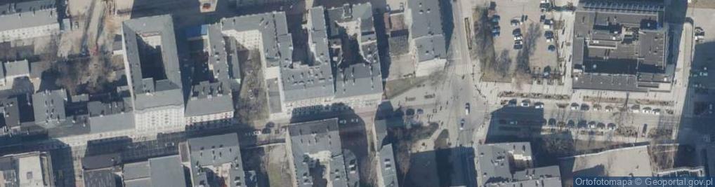 Zdjęcie satelitarne P.Domański, K.Mamos