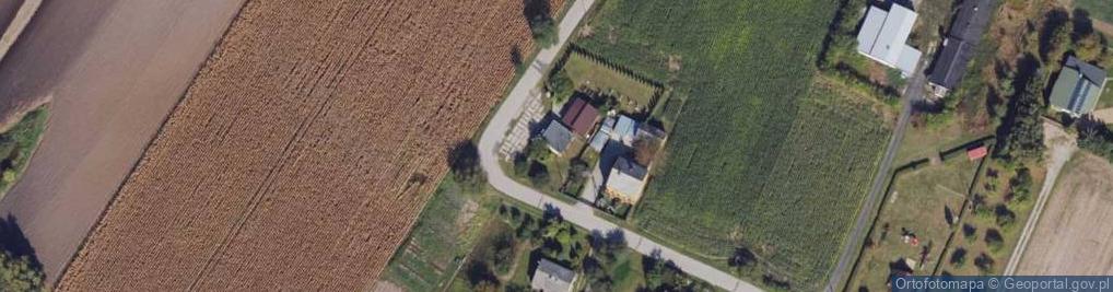 Zdjęcie satelitarne P.P."Pasja"