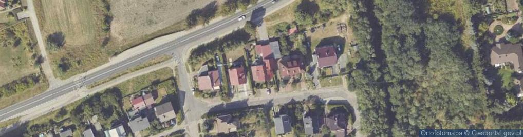Zdjęcie satelitarne P.T.H.Sandecki Kamil Sandecki