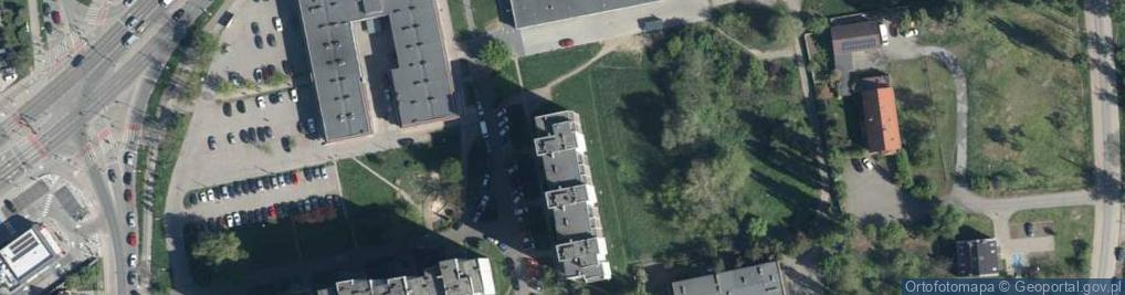 Zdjęcie satelitarne P w Detel