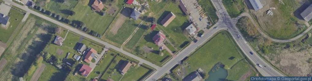 Zdjęcie satelitarne P w Trans Cel Usługi Transportowe Krajowe i Zagraniczne Spedycja