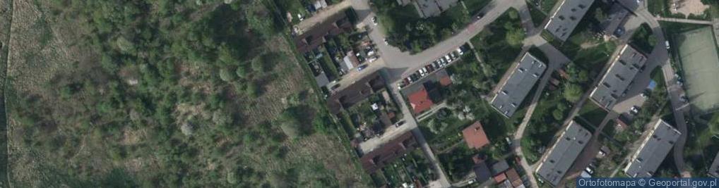 Zdjęcie satelitarne Paltrans