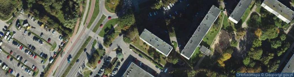 Zdjęcie satelitarne Pamat