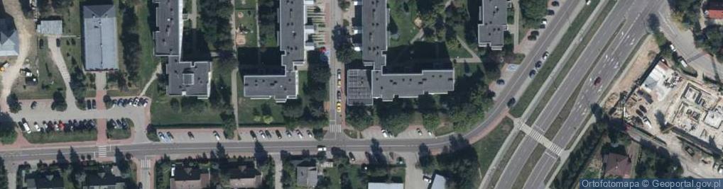 Zdjęcie satelitarne Panda