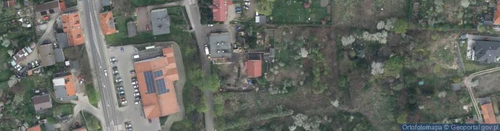 Zdjęcie satelitarne Patrans Patrycja Apanas