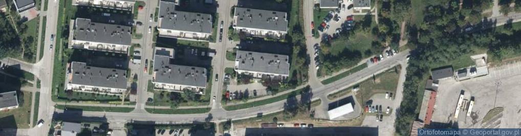 Zdjęcie satelitarne Patrycja Kosiara-Łysy