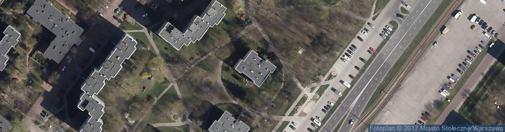 Zdjęcie satelitarne Paulina Baumert