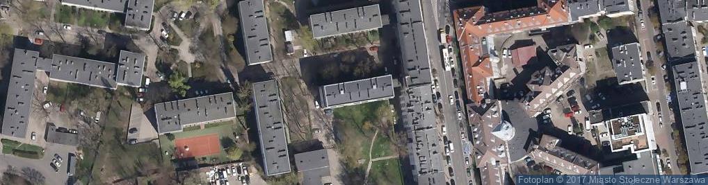 Zdjęcie satelitarne Paulina Plenkiewicz Lemon Balm