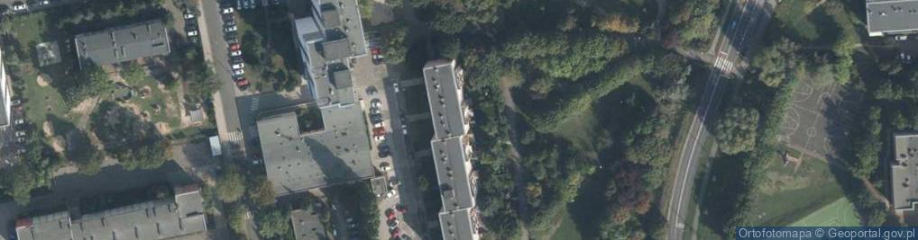 Zdjęcie satelitarne Paulina Runowska