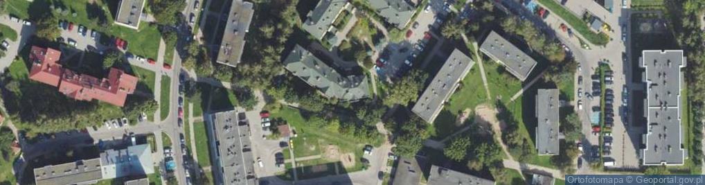 Zdjęcie satelitarne Paw - Trans