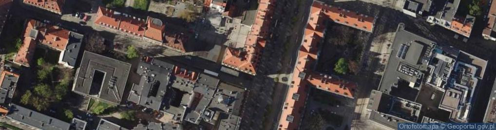 Zdjęcie satelitarne Paweł Biełous Ptakless
