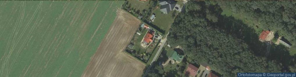 Zdjęcie satelitarne Paweł Fałdyga
