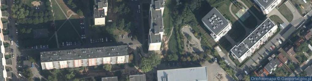 Zdjęcie satelitarne Paweł Obst