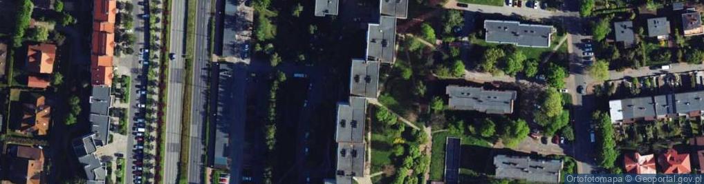 Zdjęcie satelitarne Paweł Wasik Pracownia Plastyczna