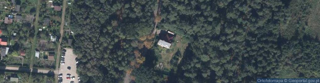 Zdjęcie satelitarne Pegasus Spedycja