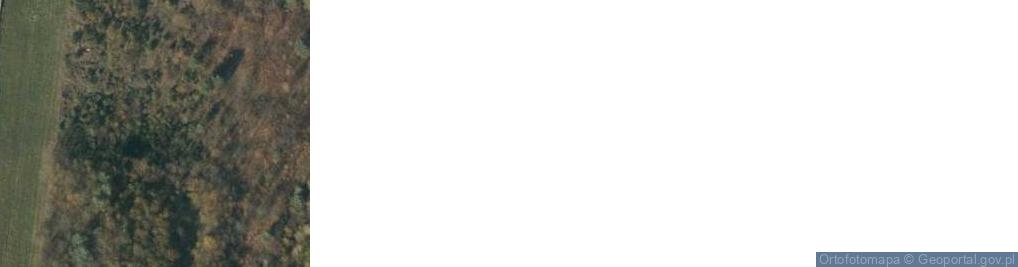 Zdjęcie satelitarne PHU Alex Aleksander Śnieżko - Błocki