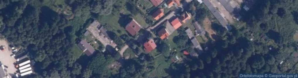 Zdjęcie satelitarne PHU Las - Ogród Wróblewska Violetta