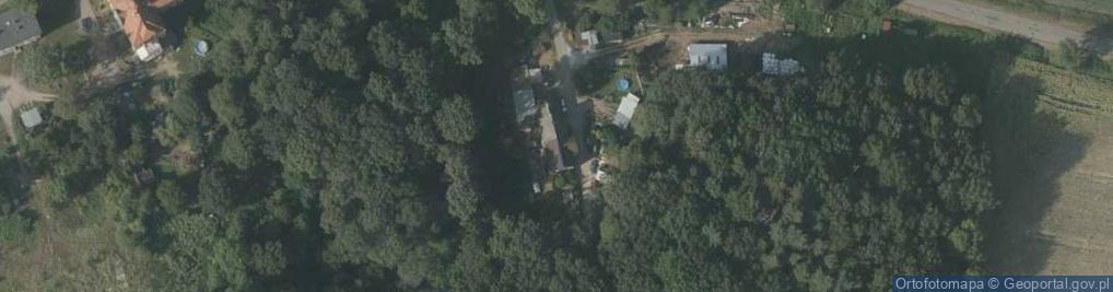Zdjęcie satelitarne Piaskowski Przemysław