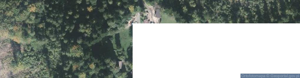 Zdjęcie satelitarne Pilch Zbigniew Ścinka Drewna, Usługi Leśne