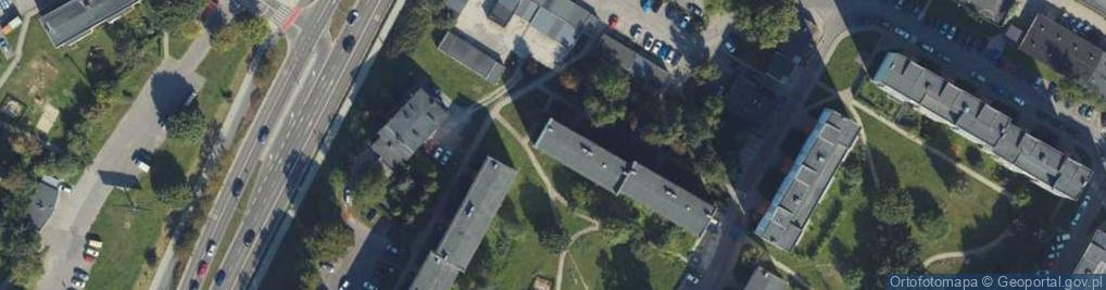 Zdjęcie satelitarne Piotr Szostakiewicz - Działalność Gospodarcza